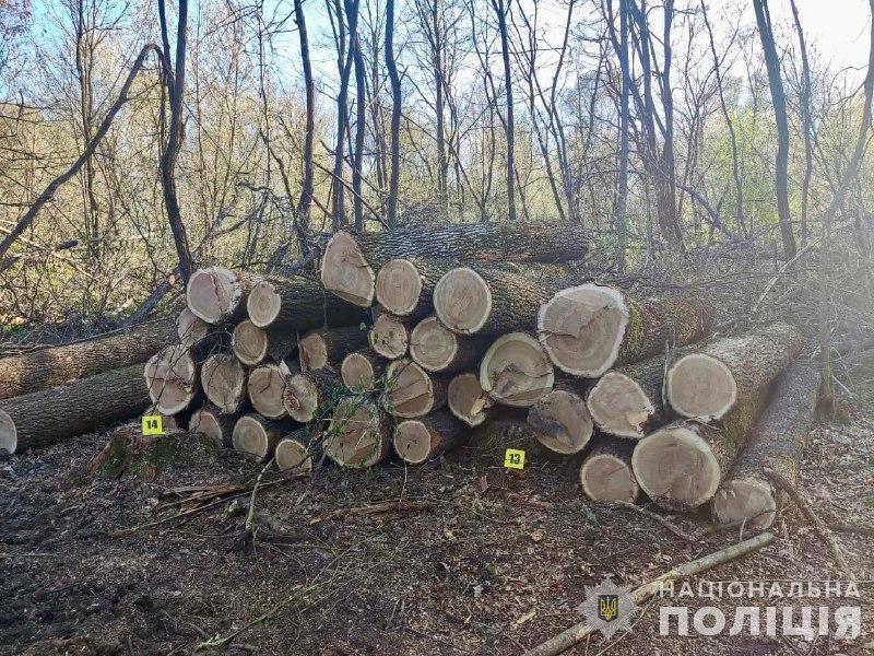 Своїми діями зловмисники завдали шкоду лісу на землях лісового фонду, відповідно до висновку судової інженерно-екологічної експертизи, на загальну суму 1 мільйон 355 тисяч 322 гривні, чим спричинили тяжкі наслідки.