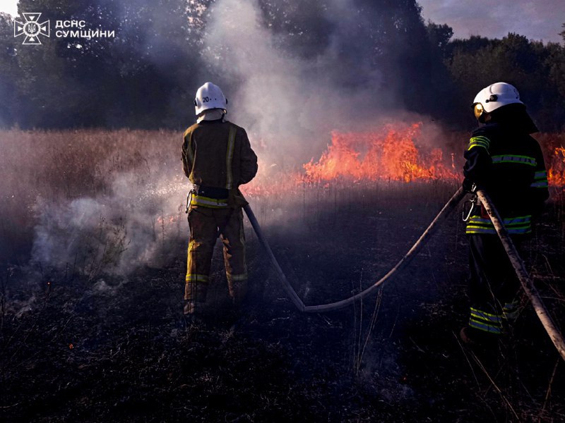 🚒 У Сумському районі через загоряння сухої рослинності травмувалася жінка